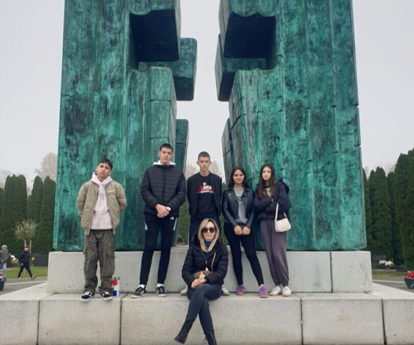 Naši osmaši u Vukovaru